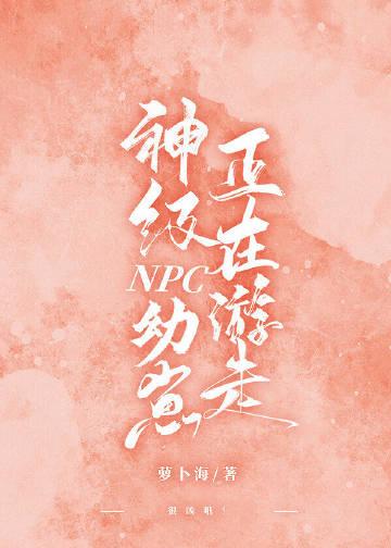 禁止某玩家接触副本NPC!