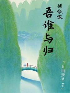 惆怅客:吾谁与归