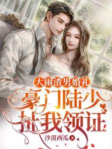 大闹渣男婚礼,豪门陆少扯我领证