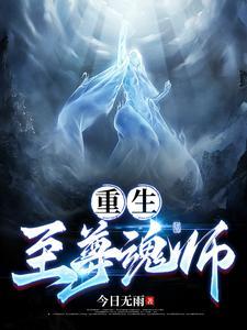 重生:至尊魂师