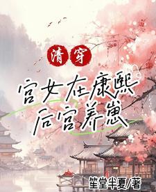 清穿:在康熙后宫做妾室