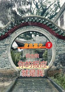 四合院:你的报应就是我